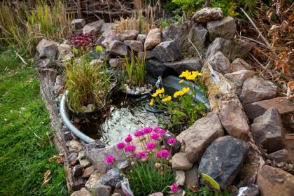 Zinkwanne als Miniteich im naturnahen Garten