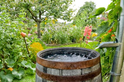 nachhaltiger Garten mit Regenwassernutzung